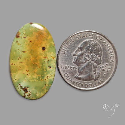 Rare Arizona Patogonia Turquoise Cabochon