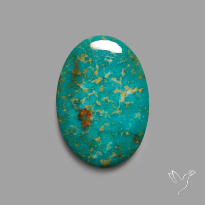 Rare Arizona Patogonia Turquoise Cabochon