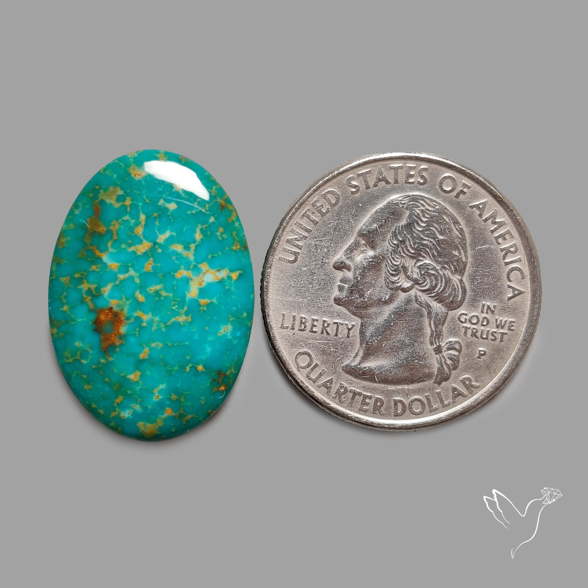 Rare Arizona Patogonia Turquoise Cabochon