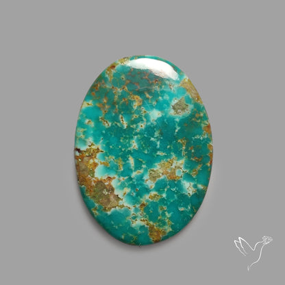 Rare Arizona Patogonia Turquoise Cabochon
