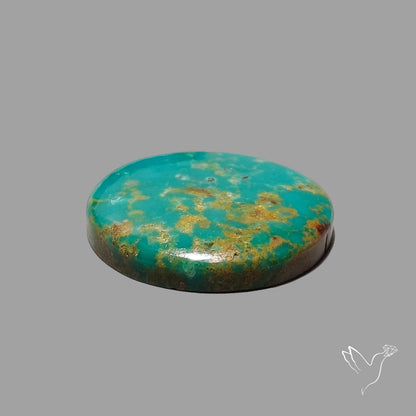 Rare Arizona Patogonia Turquoise Cabochon