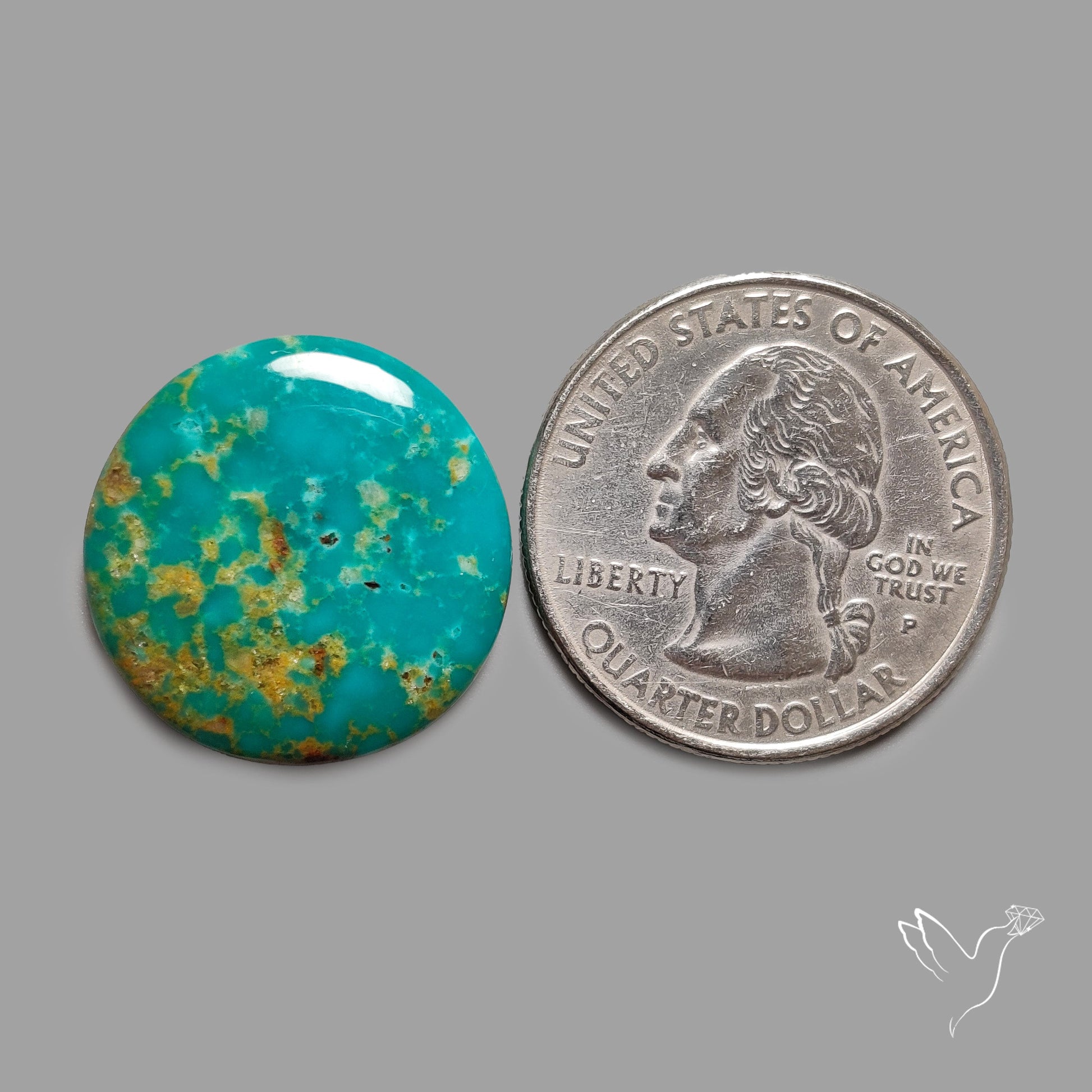 Rare Arizona Patogonia Turquoise Cabochon