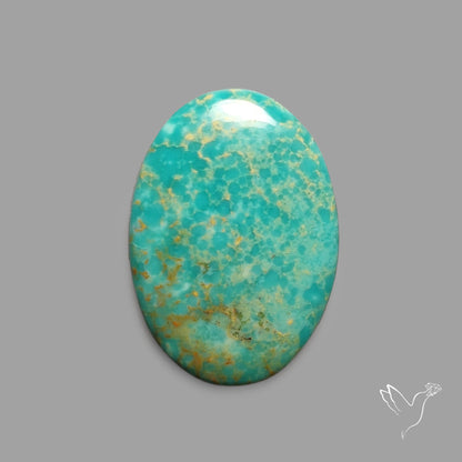 Rare Arizona Patogonia Turquoise Cabochon