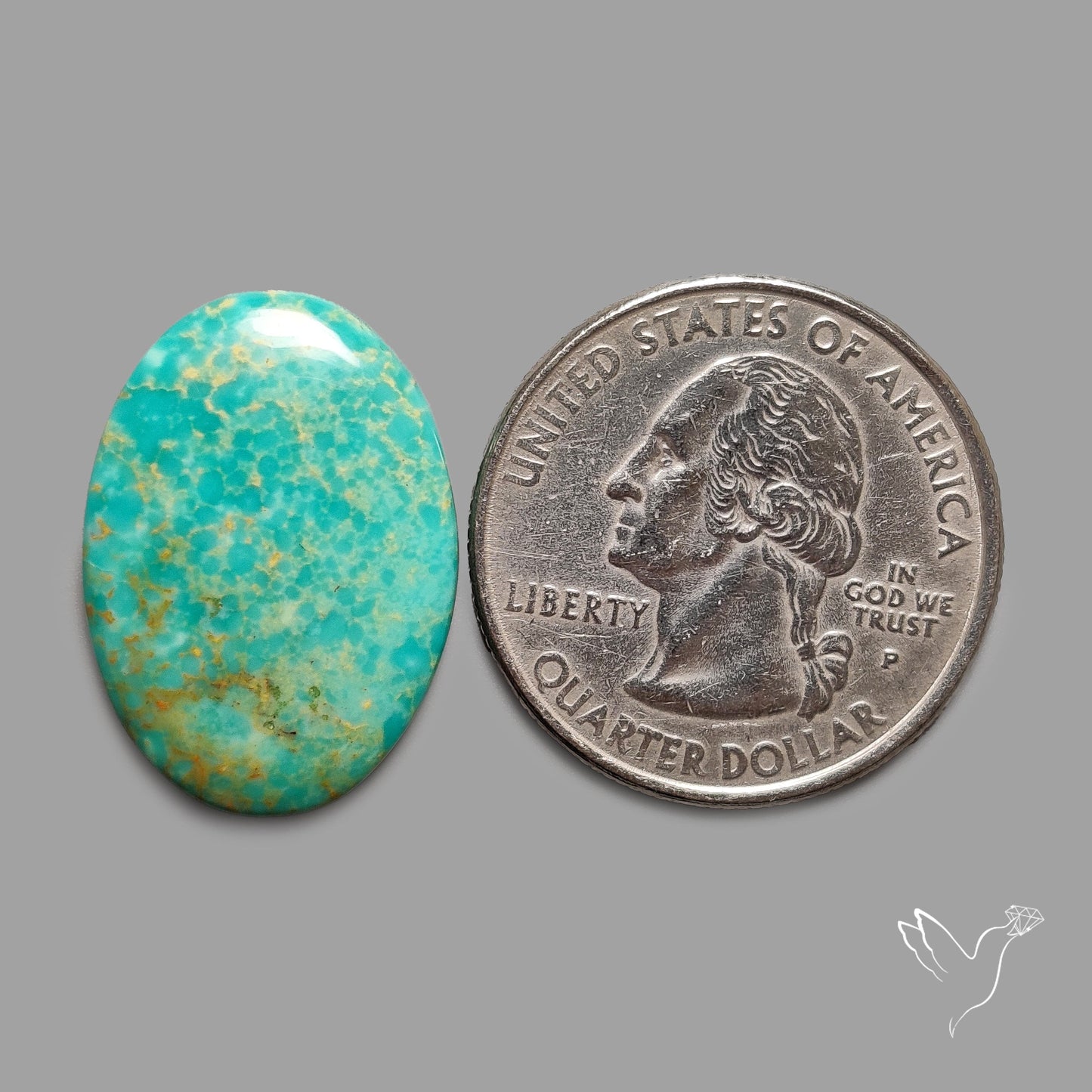 Rare Arizona Patogonia Turquoise Cabochon