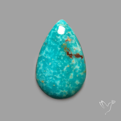 Rare Arizona Patogonia Turquoise Cabochon