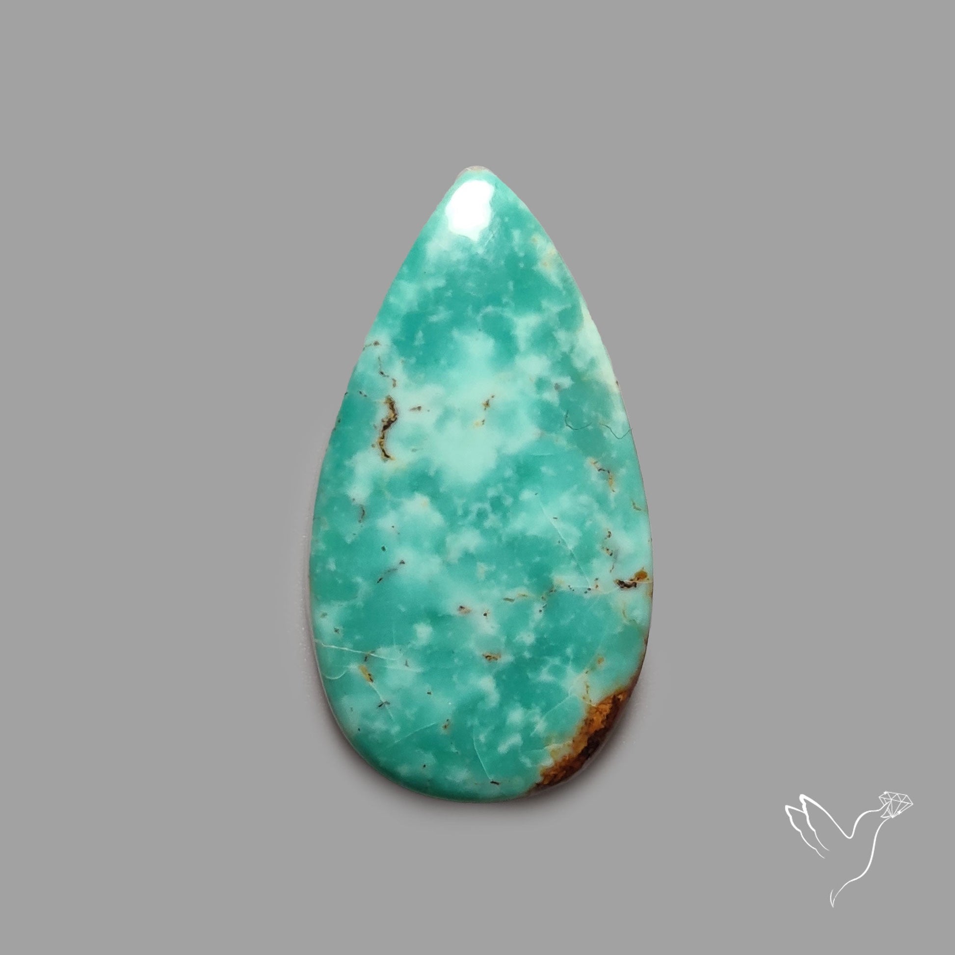 Rare Arizona Patogonia Turquoise Cabochon