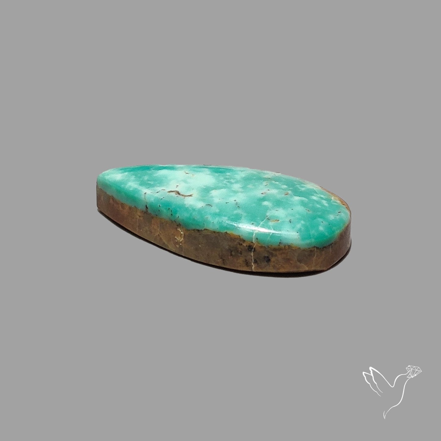 Rare Arizona Patogonia Turquoise Cabochon