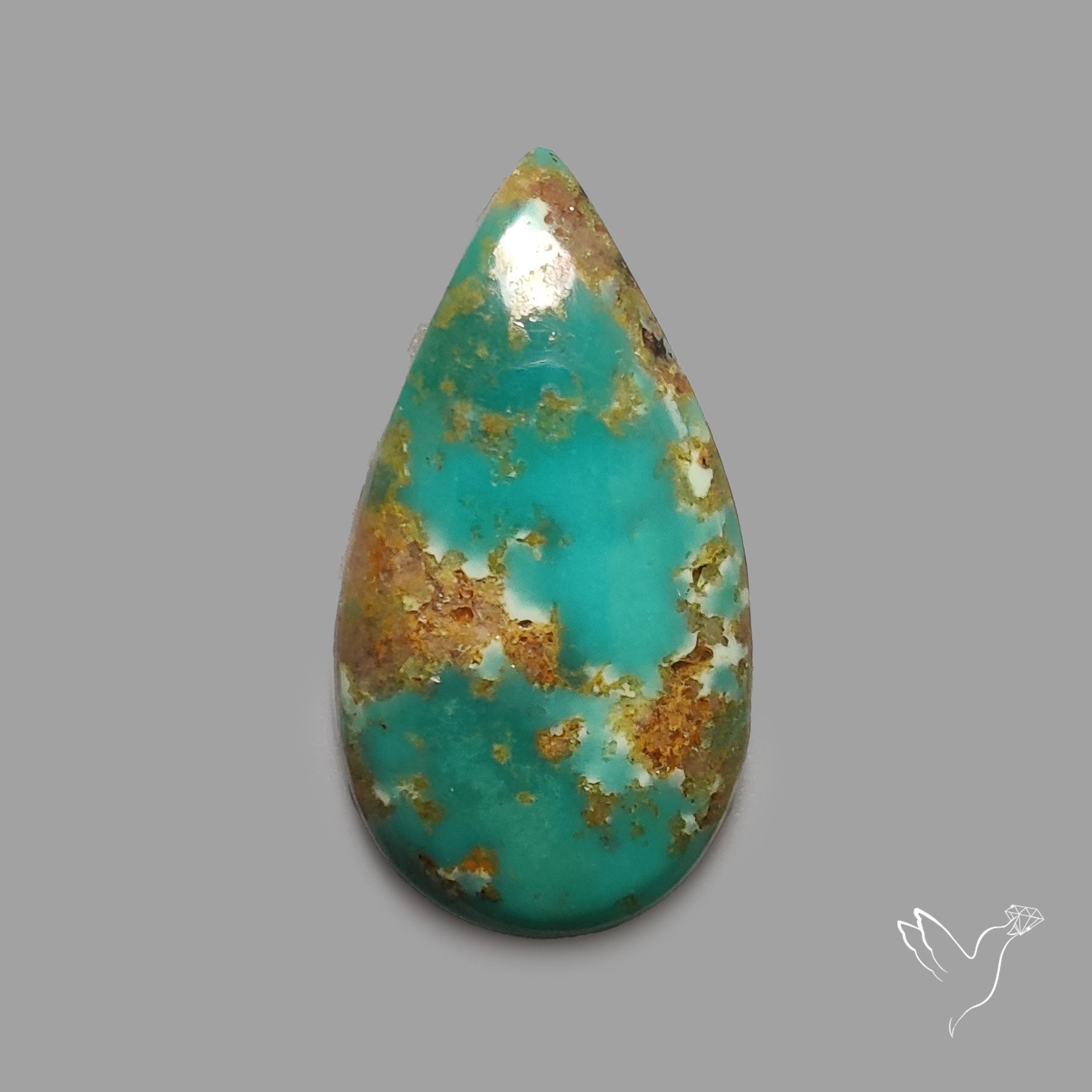 Rare Arizona Patogonia Turquoise Cabochon