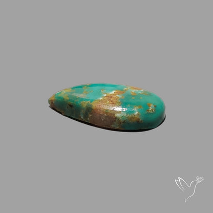 Rare Arizona Patogonia Turquoise Cabochon