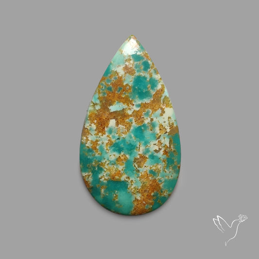 Rare Arizona Patogonia Turquoise Cabochon