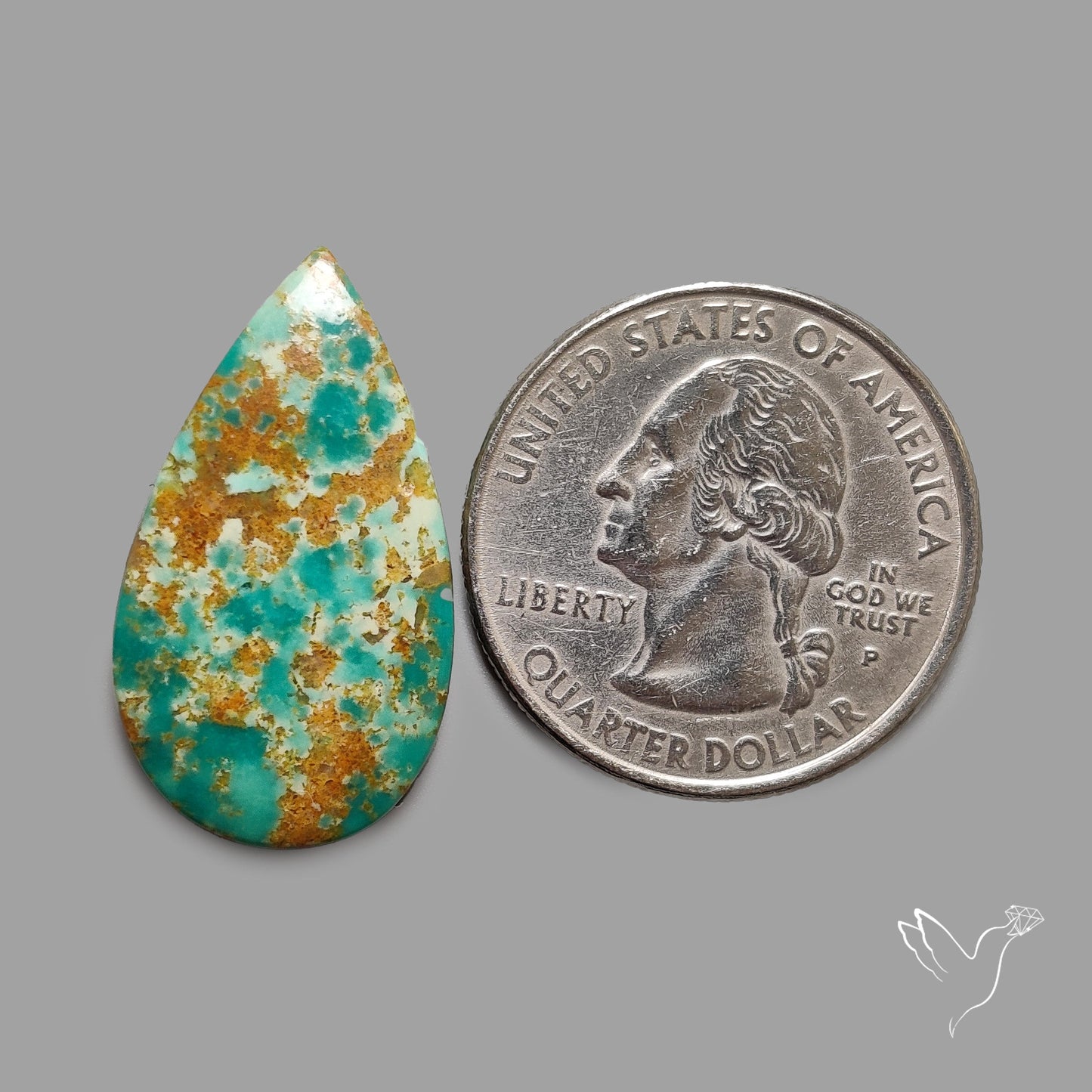 Rare Arizona Patogonia Turquoise Cabochon