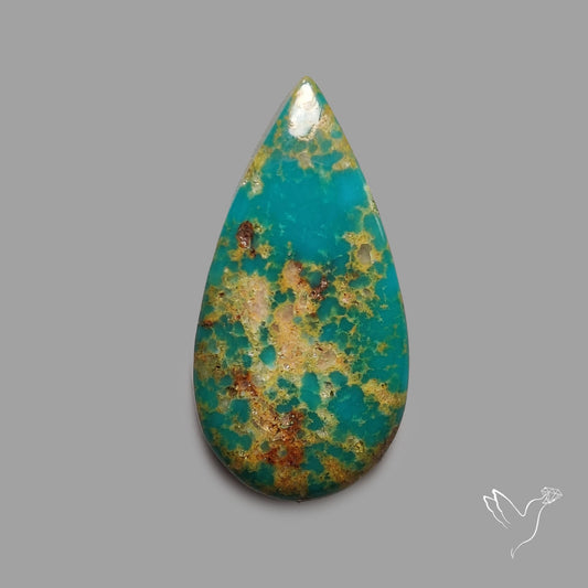 Rare Arizona Patogonia Turquoise Cabochon
