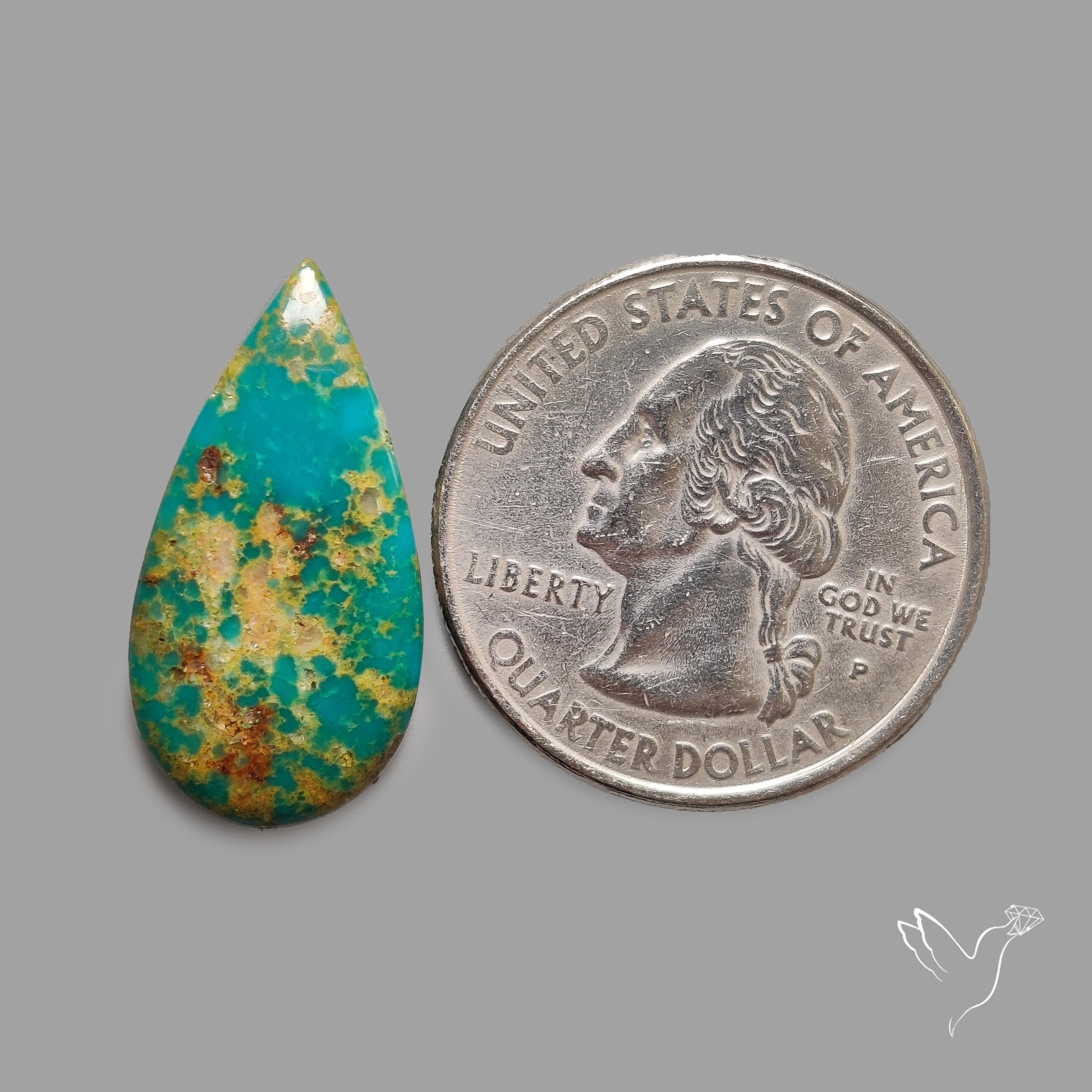 Rare Arizona Patogonia Turquoise Cabochon