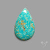 Rare Arizona Patogonia Turquoise Cabochon
