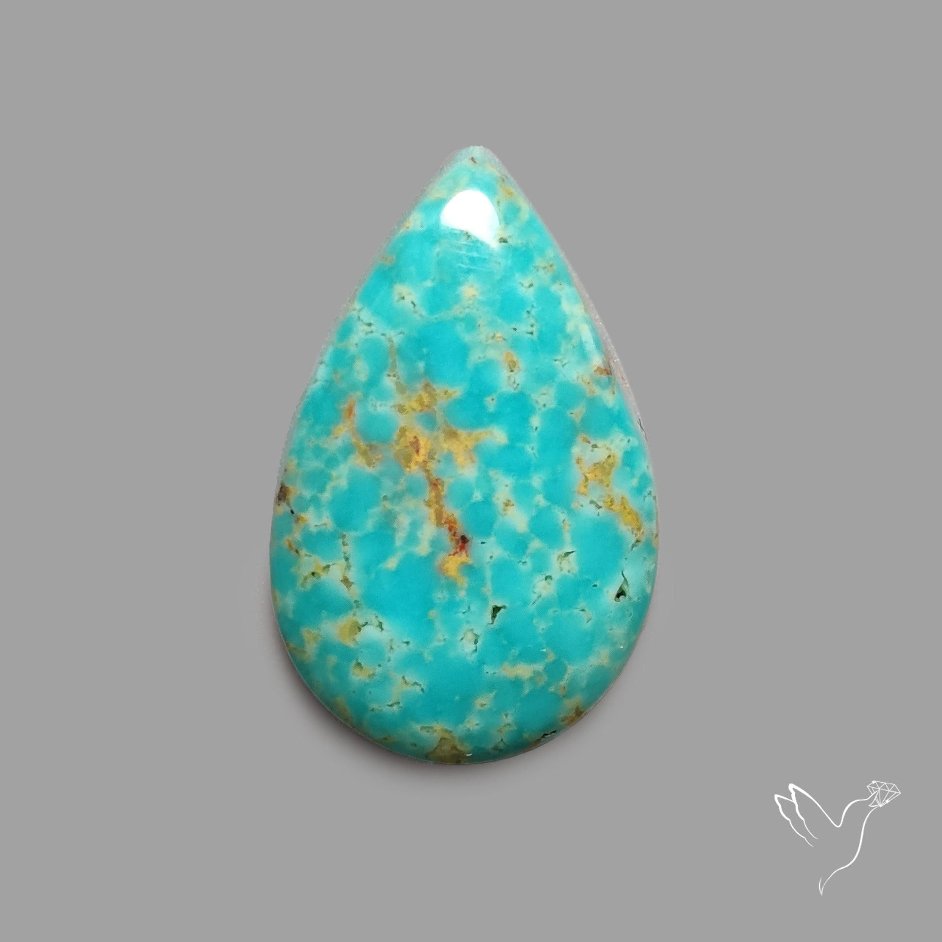 Rare Arizona Patogonia Turquoise Cabochon