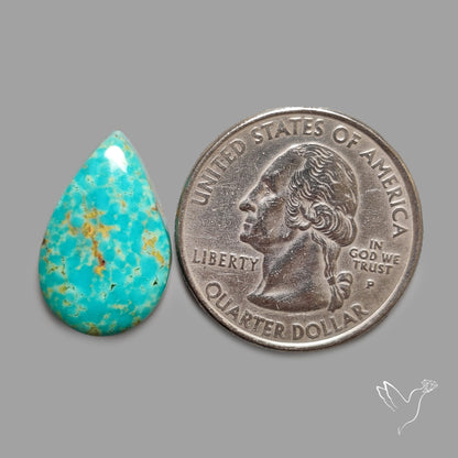 Rare Arizona Patogonia Turquoise Cabochon