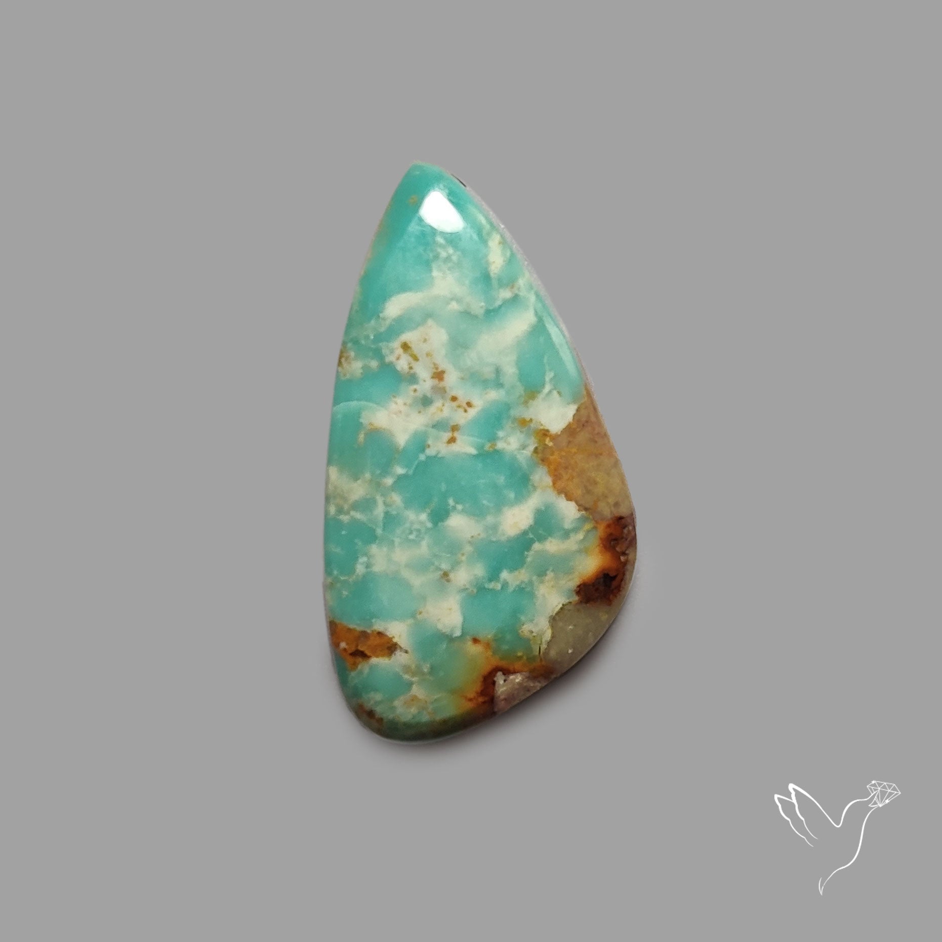 Rare Arizona Patogonia Turquoise Cabochon