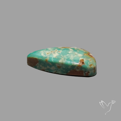 Rare Arizona Patogonia Turquoise Cabochon