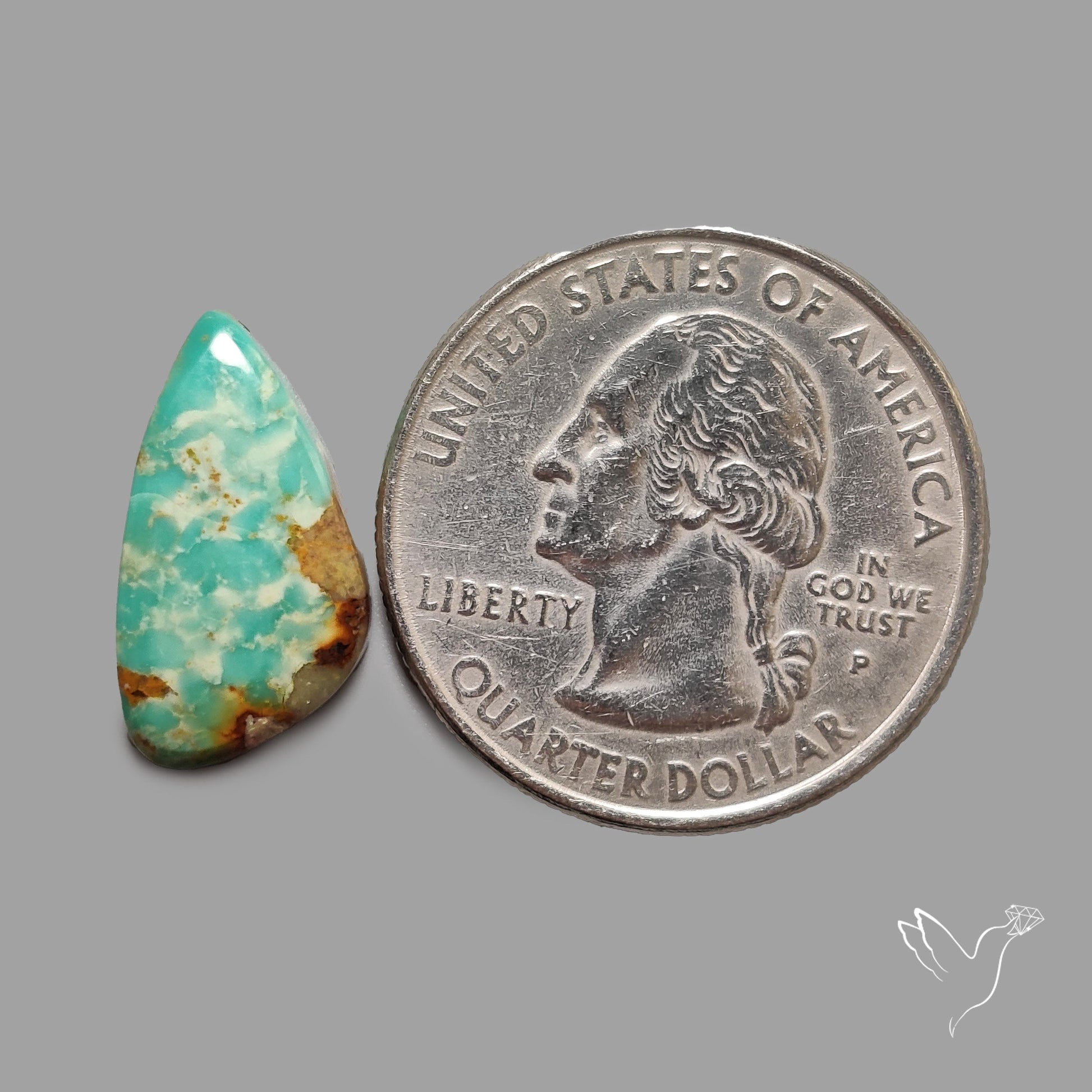 Rare Arizona Patogonia Turquoise Cabochon