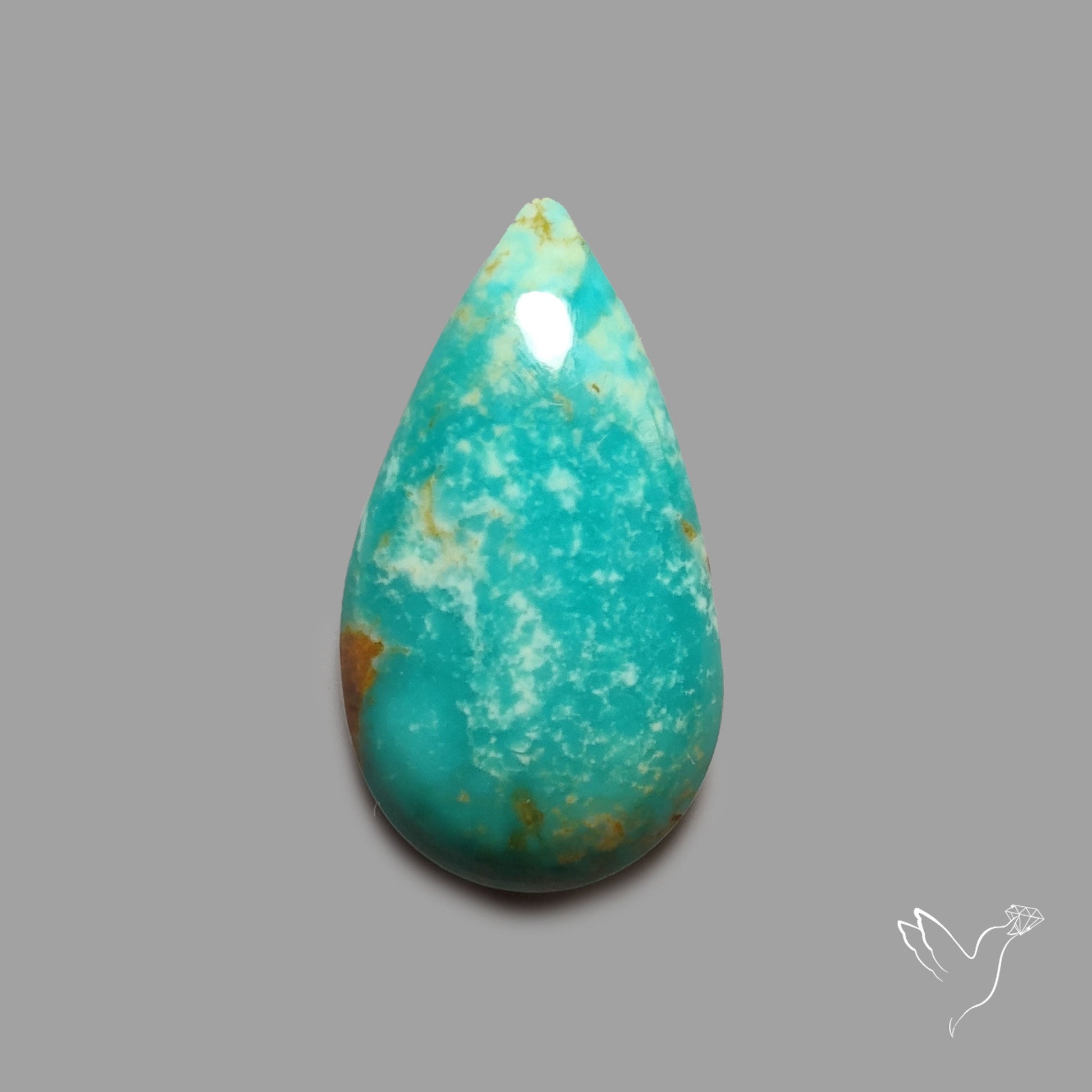 Rare Arizona Patogonia Turquoise Cabochon