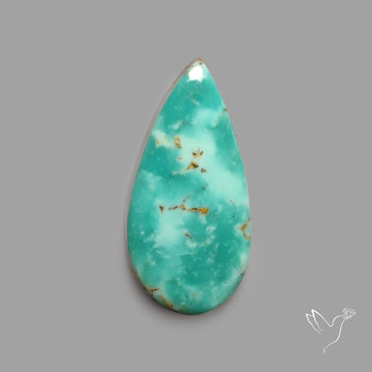 Rare Arizona Patogonia Turquoise Cabochon