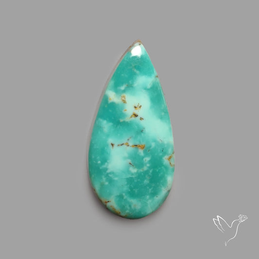 Rare Arizona Patogonia Turquoise Cabochon