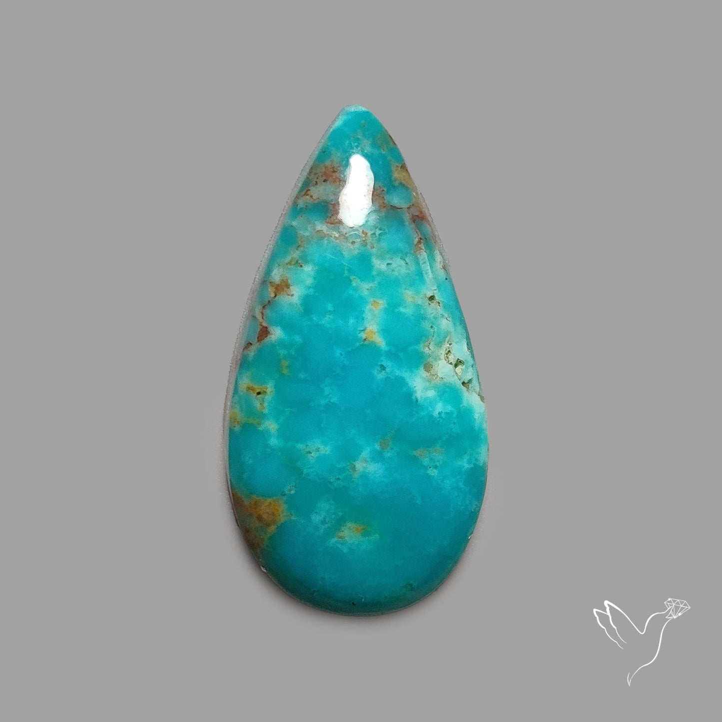 Rare Arizona Patogonia Turquoise Cabochon