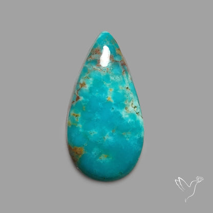 Rare Arizona Patogonia Turquoise Cabochon