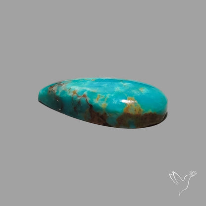 Rare Arizona Patogonia Turquoise Cabochon