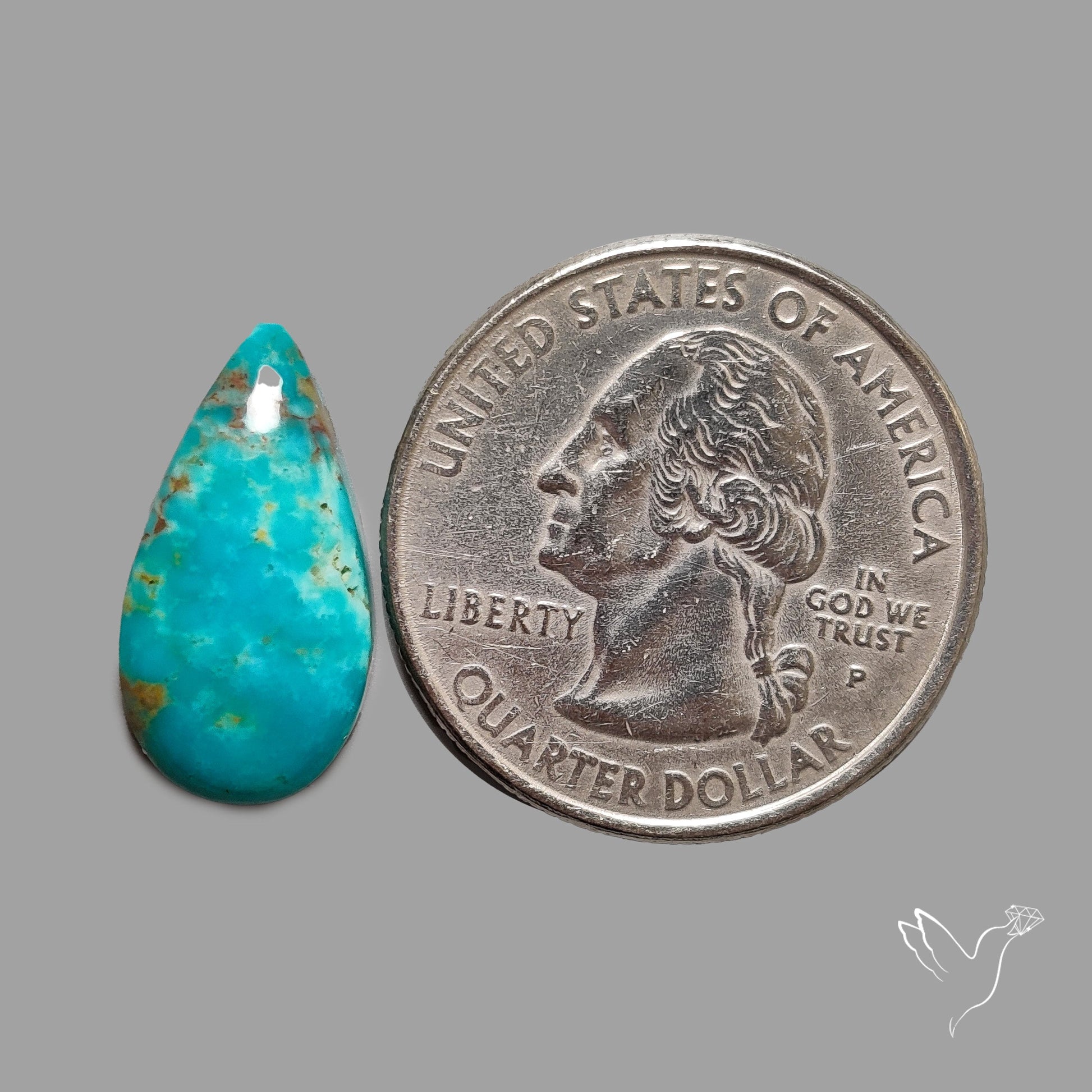 Rare Arizona Patogonia Turquoise Cabochon