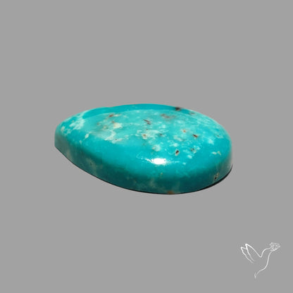 Rare Arizona Patogonia Turquoise Cabochon