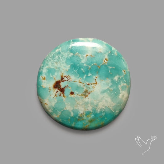 Rare Arizona Patogonia Turquoise Cabochon