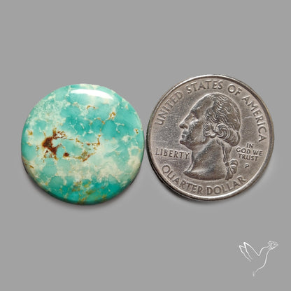 Rare Arizona Patogonia Turquoise Cabochon