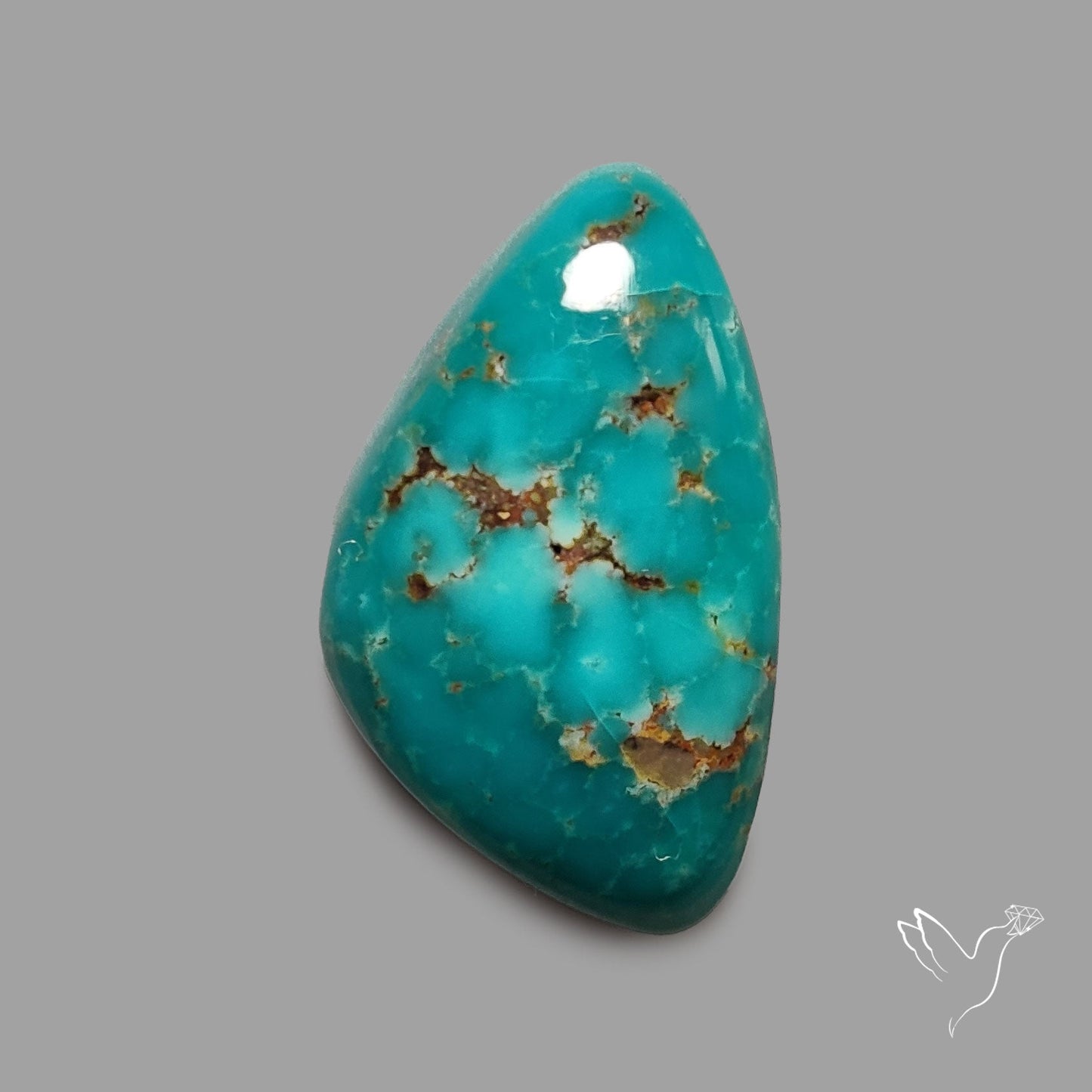 Rare Arizona Patogonia Turquoise Cabochon