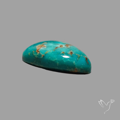 Rare Arizona Patogonia Turquoise Cabochon