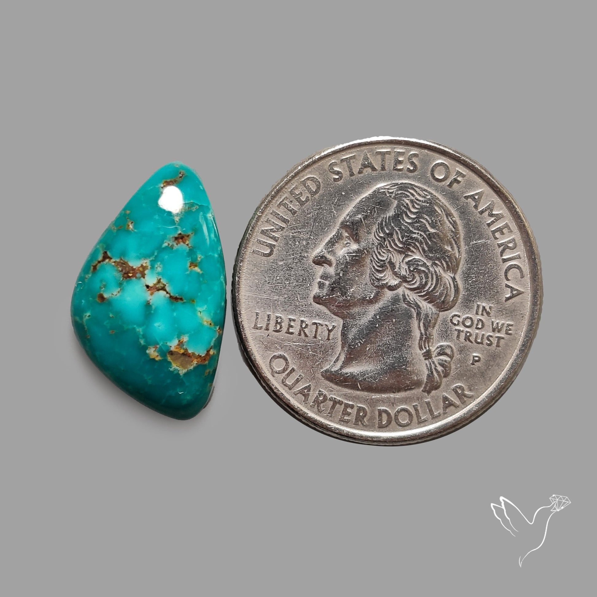 Rare Arizona Patogonia Turquoise Cabochon