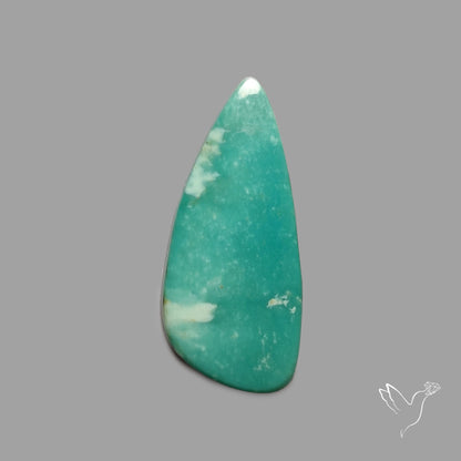 Rare Arizona Patogonia Turquoise Cabochon