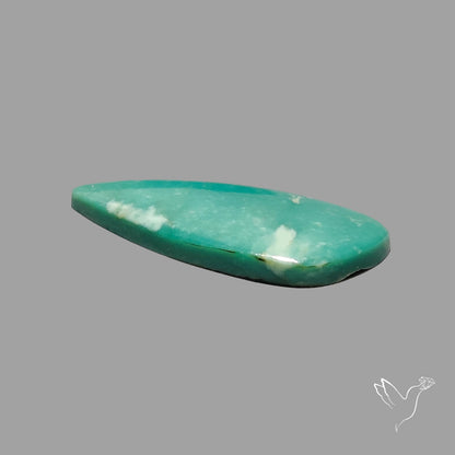 Rare Arizona Patogonia Turquoise Cabochon