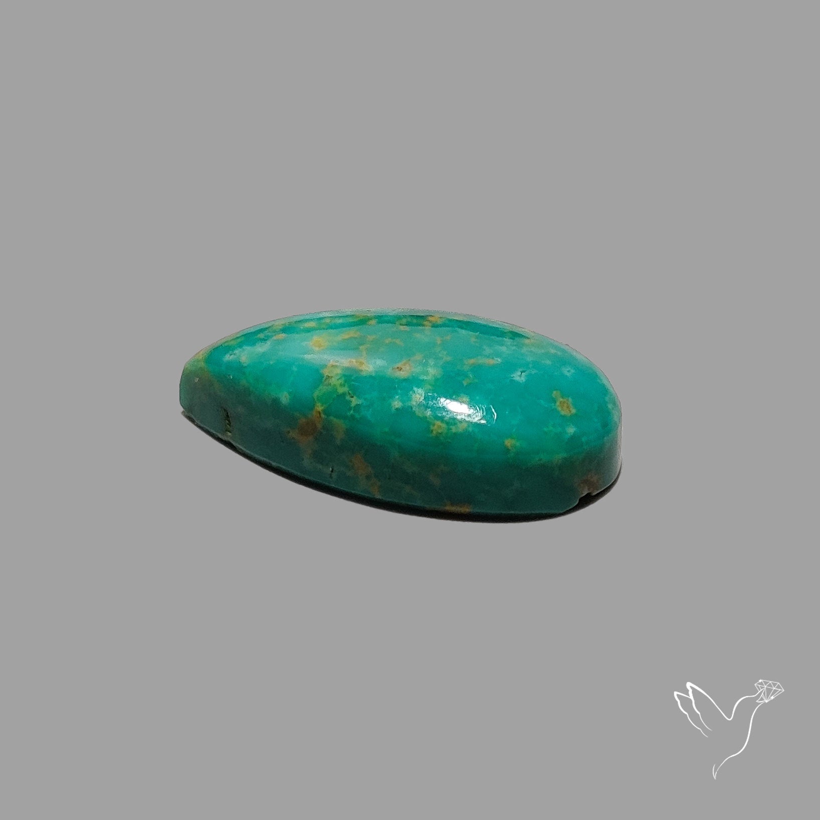 Rare Arizona Patogonia Turquoise Cabochon