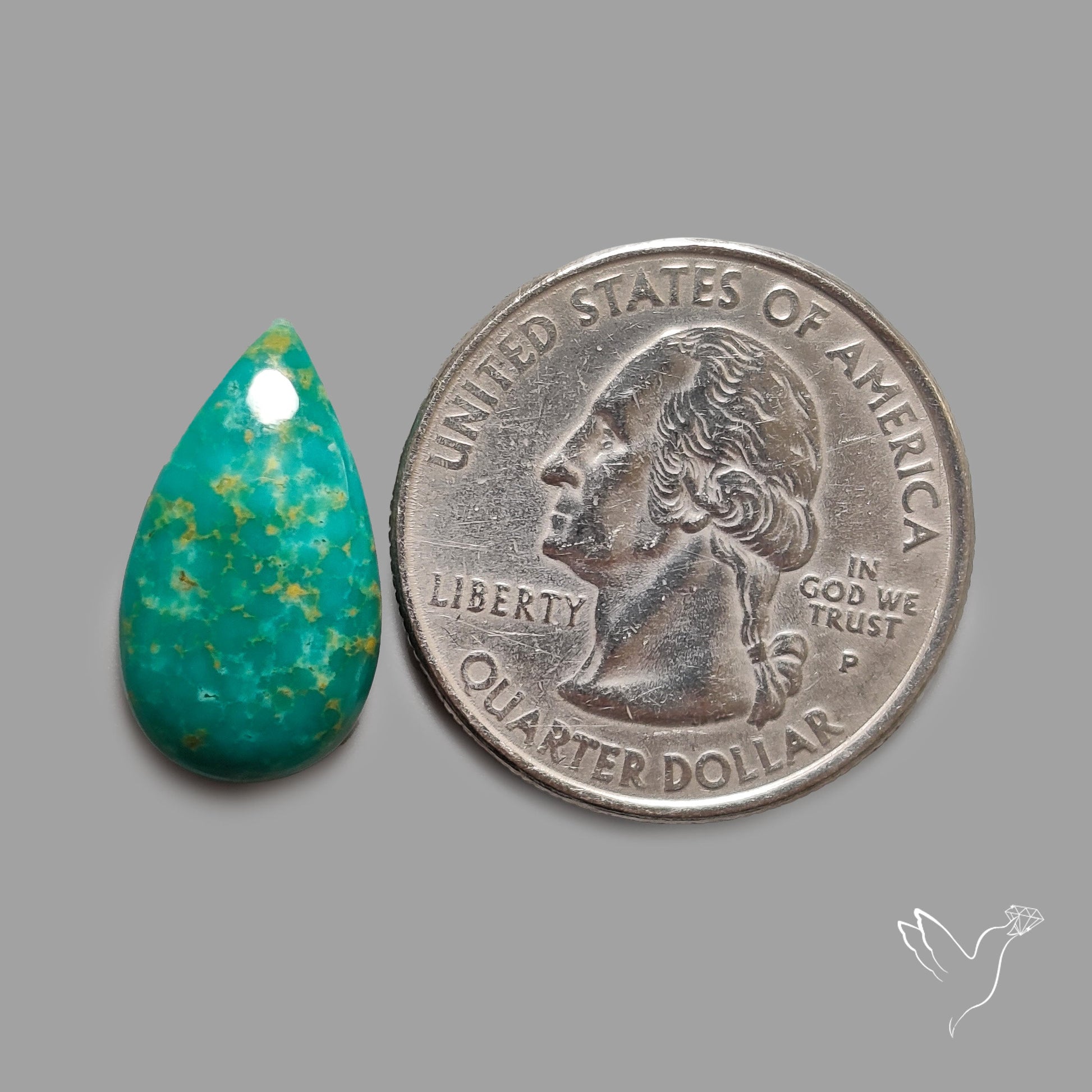 Rare Arizona Patogonia Turquoise Cabochon