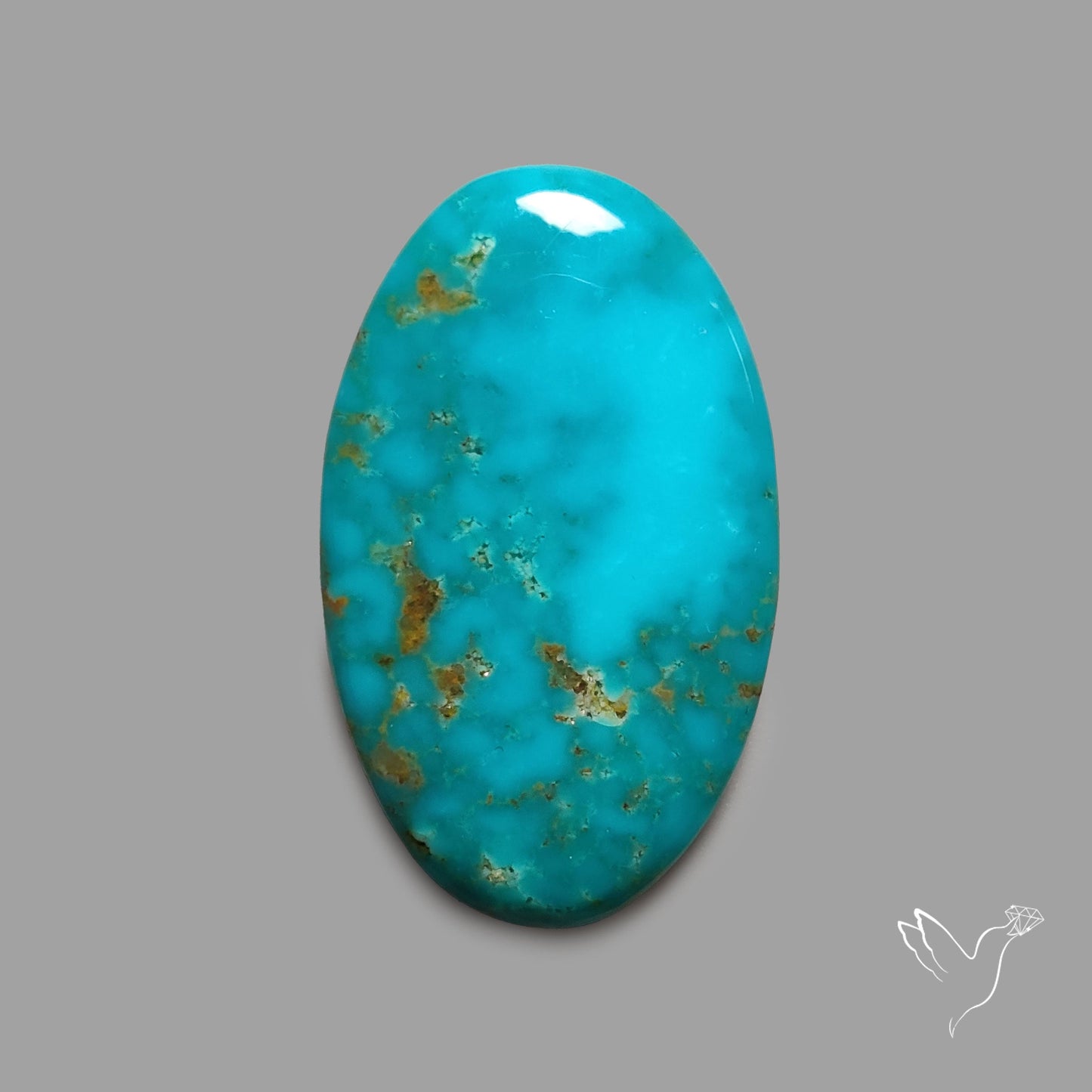 Rare Arizona Patogonia Turquoise Cabochon