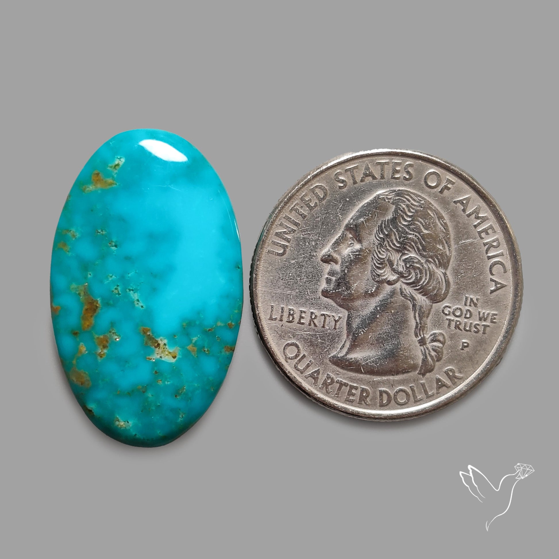 Rare Arizona Patogonia Turquoise Cabochon