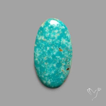 Rare Arizona Patogonia Turquoise Cabochon