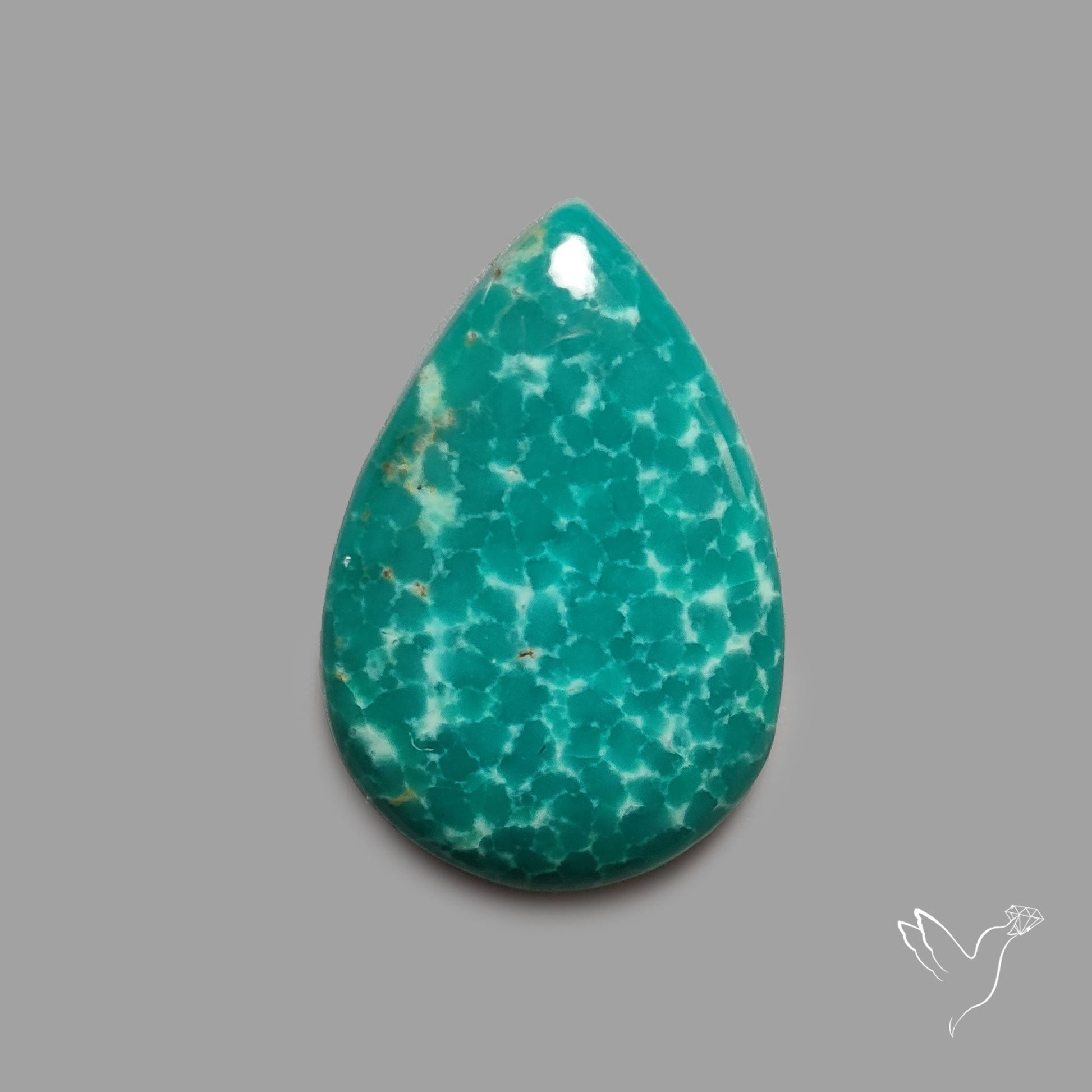 Rare Arizona Patogonia Turquoise Cabochon