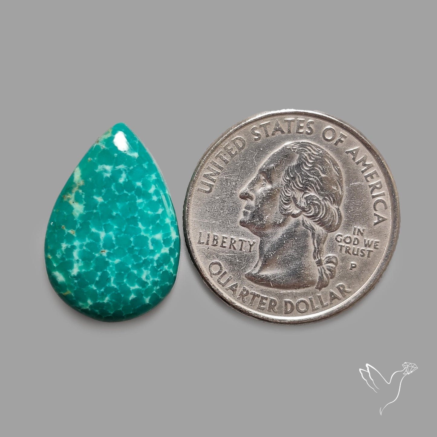 Rare Arizona Patogonia Turquoise Cabochon