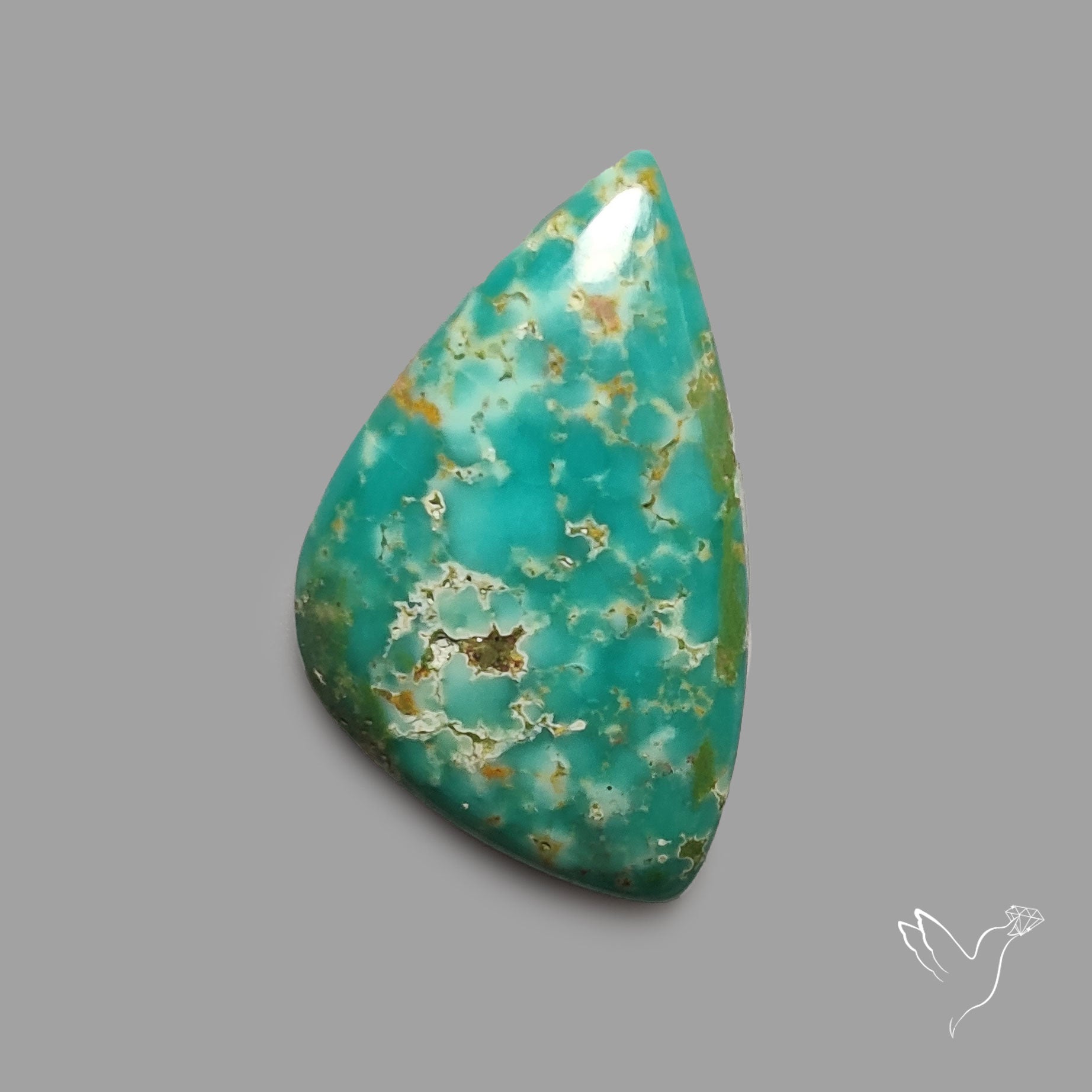 Rare Arizona Patogonia Turquoise Cabochon