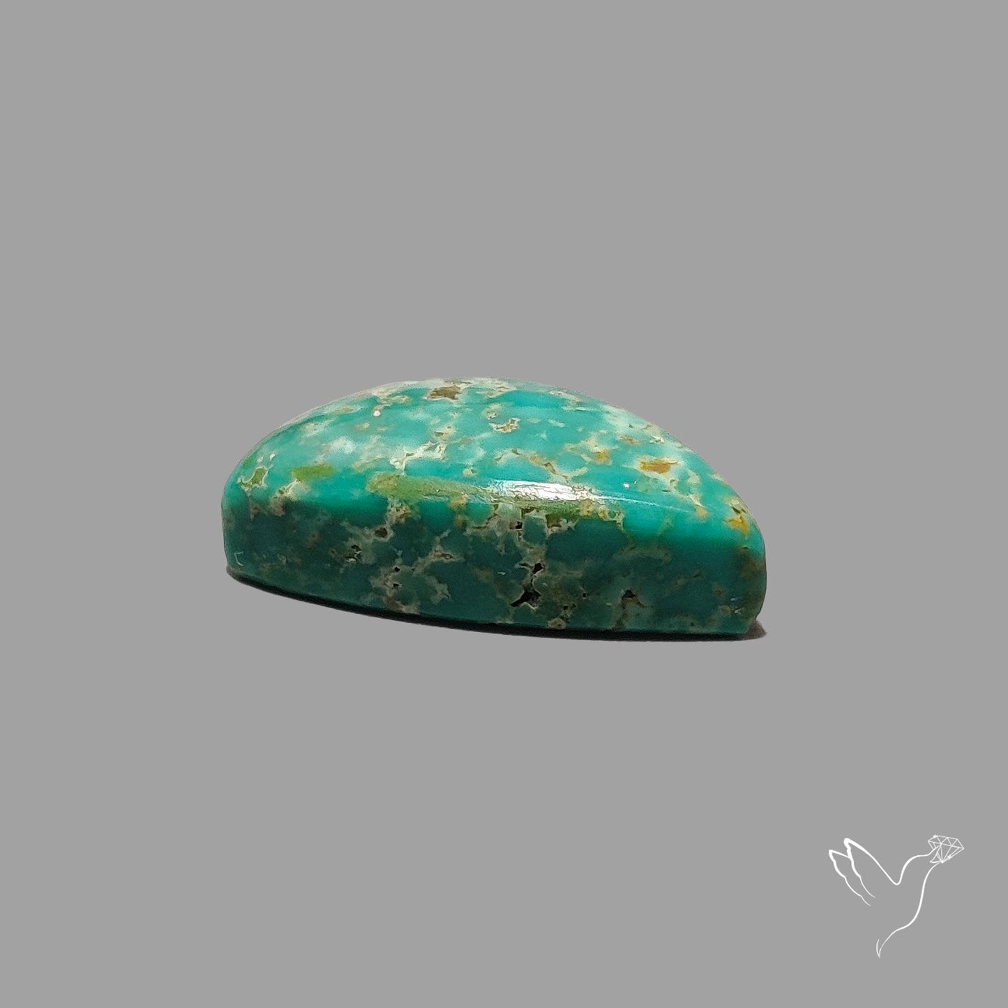 Rare Arizona Patogonia Turquoise Cabochon