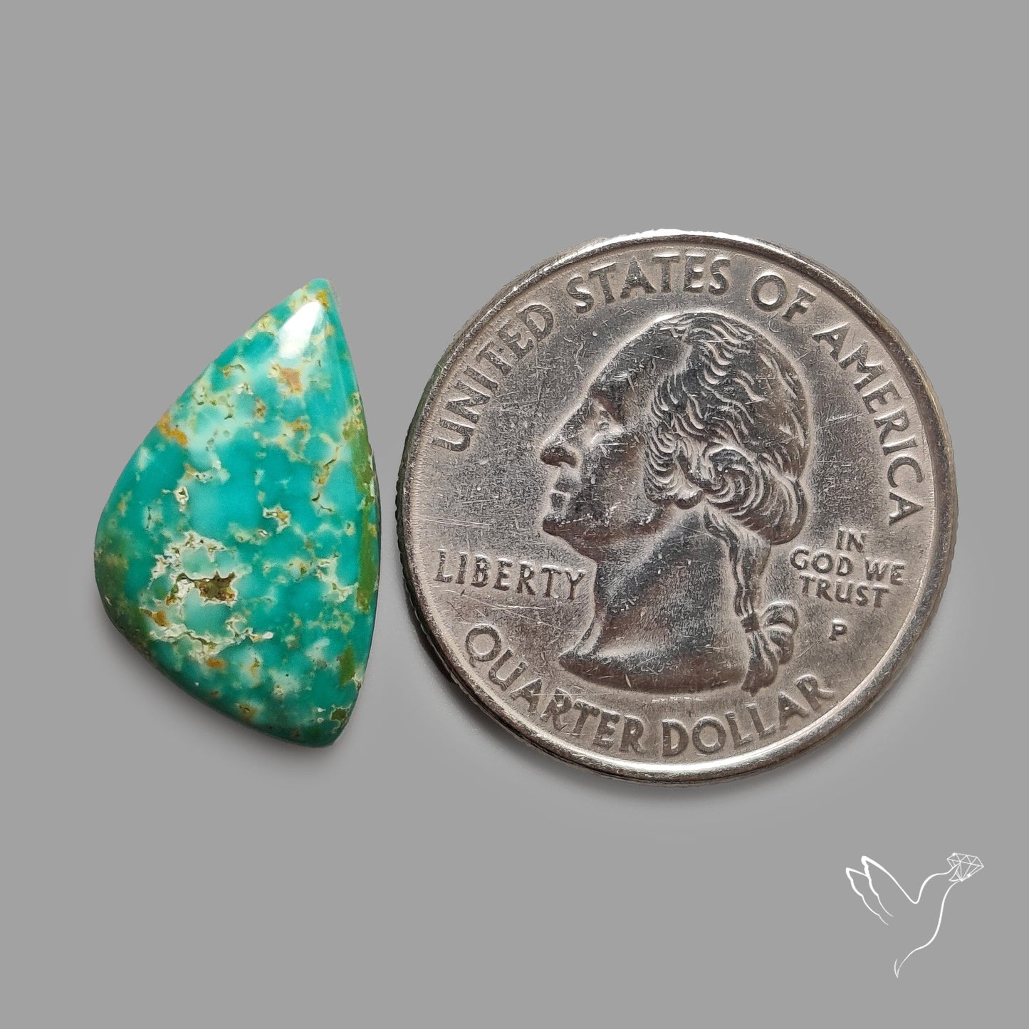 Rare Arizona Patogonia Turquoise Cabochon