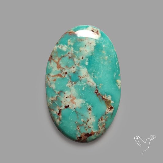Rare Arizona Patogonia Turquoise Cabochon