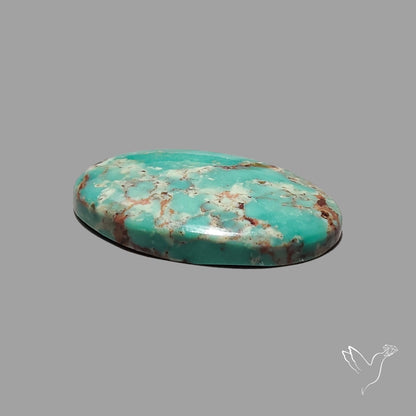 Rare Arizona Patogonia Turquoise Cabochon